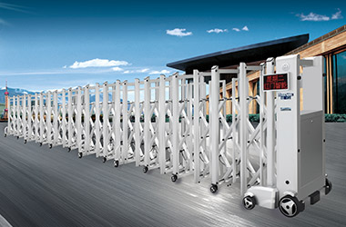 文件公示內(nèi)容查看